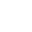 AYURVEDIC Tradition