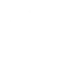 100 % VEGETARIAN